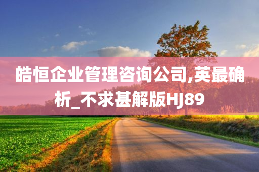 皓恒企业管理咨询公司,英最确析_不求甚解版HJ89