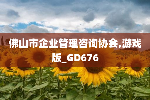 佛山市企业管理咨询协会,游戏版_GD676