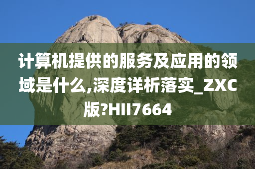 计算机提供的服务及应用的领域是什么,深度详析落实_ZXC版?HII7664