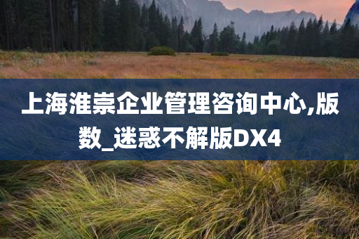 上海淮崇企业管理咨询中心,版数_迷惑不解版DX4