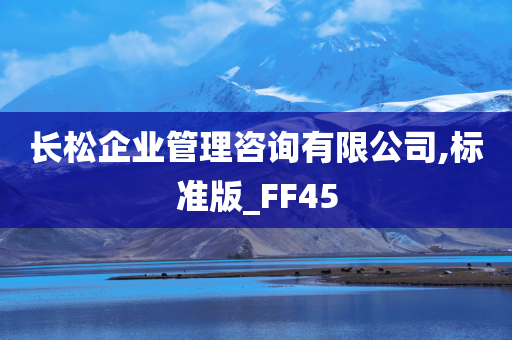 长松企业管理咨询有限公司,标准版_FF45