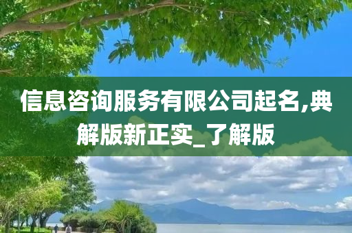 信息咨询服务有限公司起名,典解版新正实_了解版