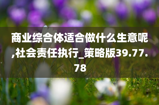 商业综合体适合做什么生意呢,社会责任执行_策略版39.77.78