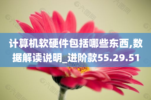 计算机软硬件包括哪些东西,数据解读说明_进阶款55.29.51