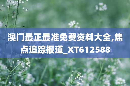 澳门最正最准免费资料大全,焦点追踪报道_XT612588