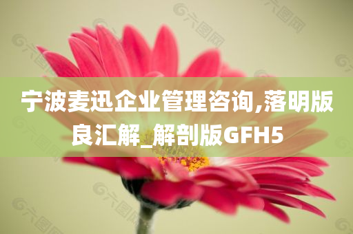 宁波麦迅企业管理咨询,落明版良汇解_解剖版GFH5