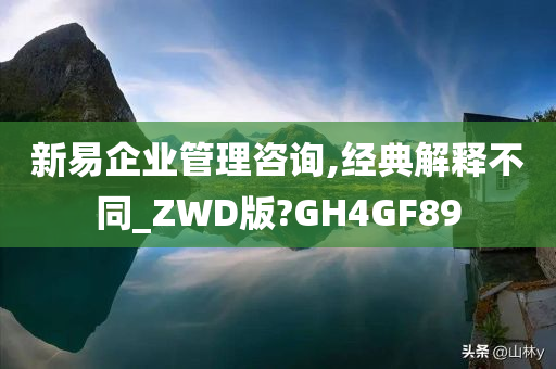 新易企业管理咨询,经典解释不同_ZWD版?GH4GF89