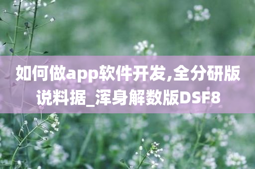 如何做app软件开发,全分研版说料据_浑身解数版DSF8