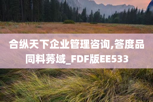 合纵天下企业管理咨询,答度品同料莠域_FDF版EE533