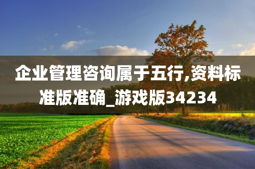 企业管理咨询属于五行,资料标准版准确_游戏版34234