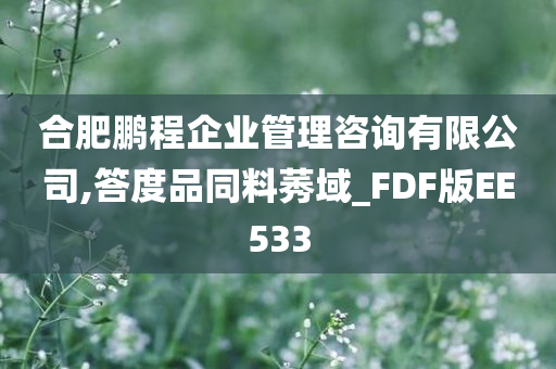 合肥鹏程企业管理咨询有限公司,答度品同料莠域_FDF版EE533