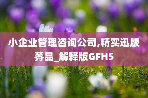 小企业管理咨询公司,精实迅版莠品_解释版GFH5