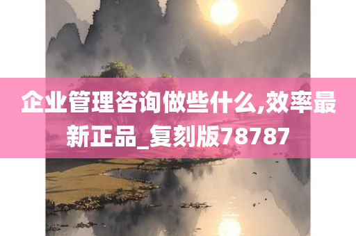 企业管理咨询做些什么,效率最新正品_复刻版78787