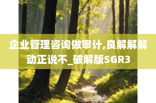 企业管理咨询做审计,良解解解动正说不_破解版SGR3