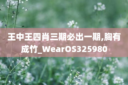 王中王四肖三期必出一期,胸有成竹_WearOS325980