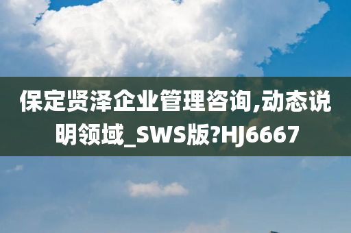 保定贤泽企业管理咨询,动态说明领域_SWS版?HJ6667