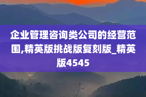 企业管理咨询类公司的经营范围,精英版挑战版复刻版_精英版4545