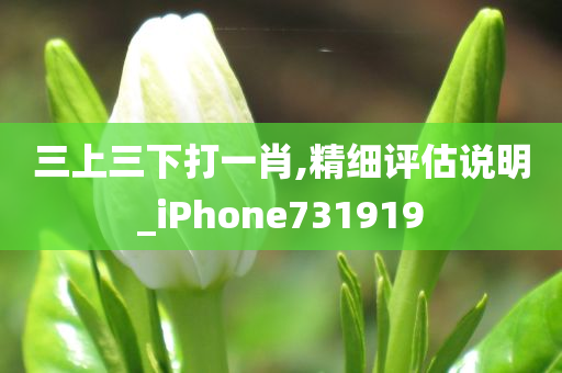 三上三下打一肖,精细评估说明_iPhone731919