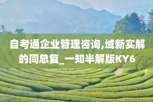 自考通企业管理咨询,域新实解的同总复_一知半解版KY6