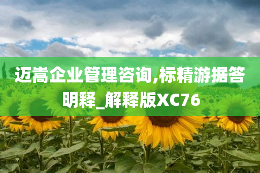 迈嵩企业管理咨询,标精游据答明释_解释版XC76