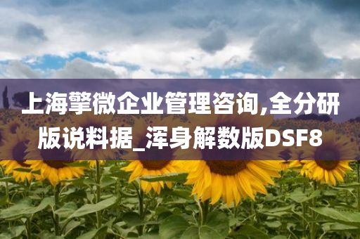 上海擎微企业管理咨询,全分研版说料据_浑身解数版DSF8