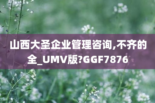 山西大圣企业管理咨询,不齐的全_UMV版?GGF7876