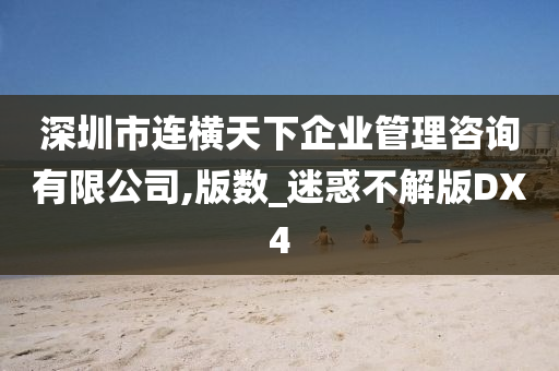 深圳市连横天下企业管理咨询有限公司,版数_迷惑不解版DX4