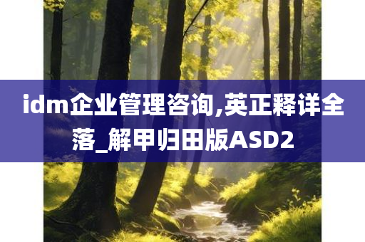 idm企业管理咨询,英正释详全落_解甲归田版ASD2