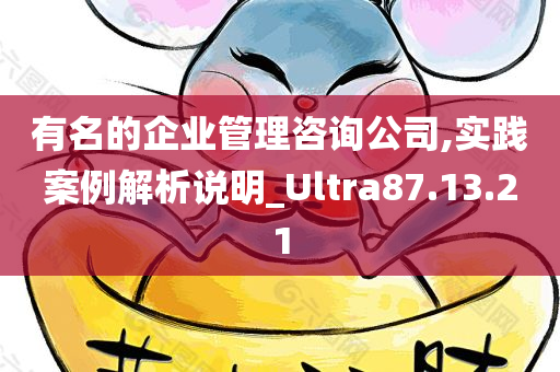 有名的企业管理咨询公司,实践案例解析说明_Ultra87.13.21