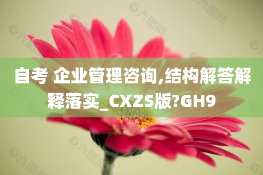 自考 企业管理咨询,结构解答解释落实_CXZS版?GH9