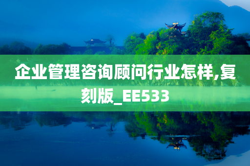 企业管理咨询顾问行业怎样,复刻版_EE533