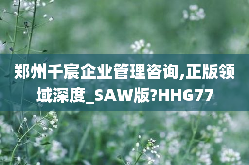 郑州千宸企业管理咨询,正版领域深度_SAW版?HHG77