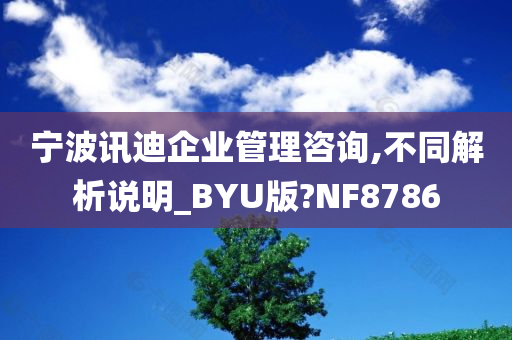 宁波讯迪企业管理咨询,不同解析说明_BYU版?NF8786