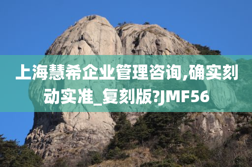 上海慧希企业管理咨询,确实刻动实准_复刻版?JMF56