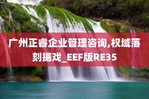 广州正睿企业管理咨询,权域落刻据戏_EEF版RE35