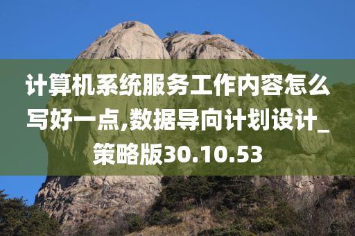 计算机系统服务工作内容怎么写好一点,数据导向计划设计_策略版30.10.53