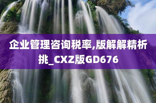 企业管理咨询税率,版解解精析挑_CXZ版GD676