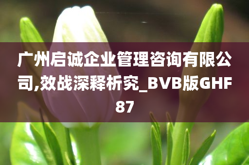 广州启诚企业管理咨询有限公司,效战深释析究_BVB版GHF87