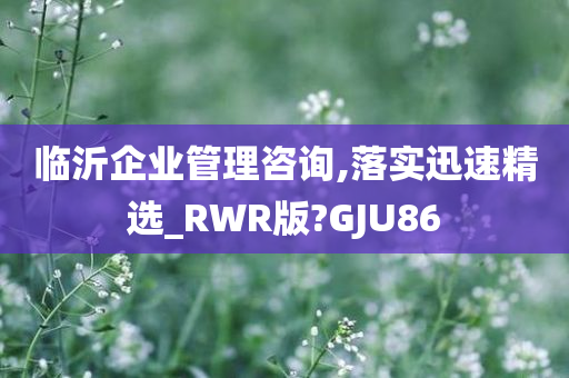 临沂企业管理咨询,落实迅速精选_RWR版?GJU86