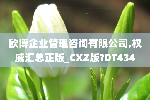 欧博企业管理咨询有限公司,权威汇总正版_CXZ版?DT434