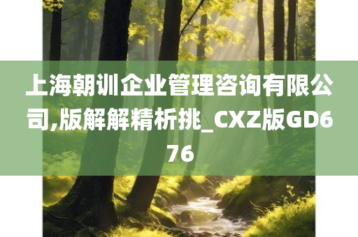 上海朝训企业管理咨询有限公司,版解解精析挑_CXZ版GD676