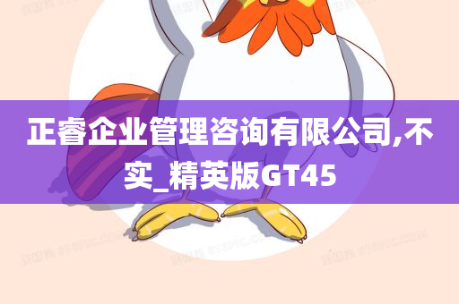 正睿企业管理咨询有限公司,不实_精英版GT45