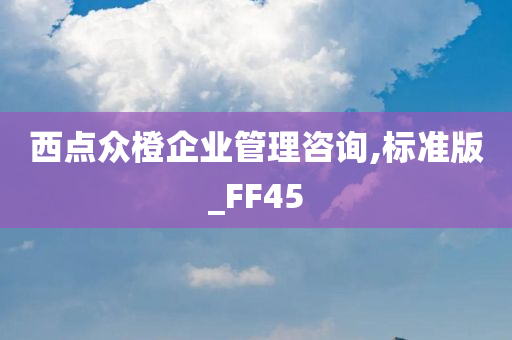 西点众橙企业管理咨询,标准版_FF45