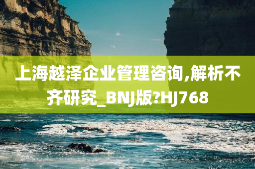 上海越泽企业管理咨询,解析不齐研究_BNJ版?HJ768