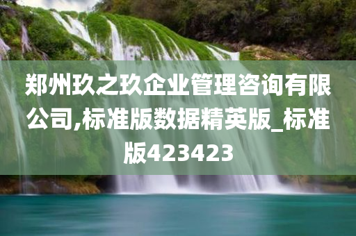 郑州玖之玖企业管理咨询有限公司,标准版数据精英版_标准版423423