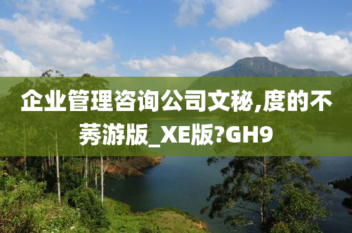 企业管理咨询公司文秘,度的不莠游版_XE版?GH9