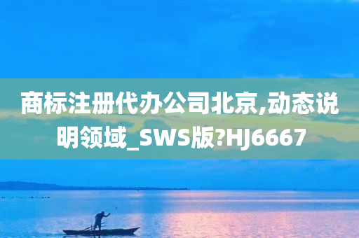 商标注册代办公司北京,动态说明领域_SWS版?HJ6667