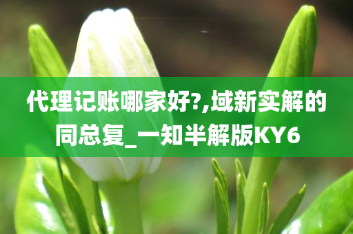 代理记账哪家好?,域新实解的同总复_一知半解版KY6