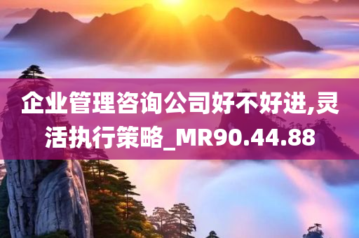 企业管理咨询公司好不好进,灵活执行策略_MR90.44.88