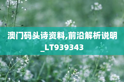 澳门码头诗资料,前沿解析说明_LT939343